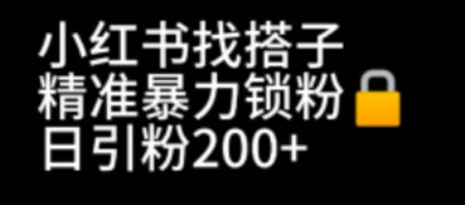 小红书找搭子暴力精准锁粉+引流日引200+精准粉极优客-网创项目资源站-副业项目-创业项目-搞钱项目极优客网创