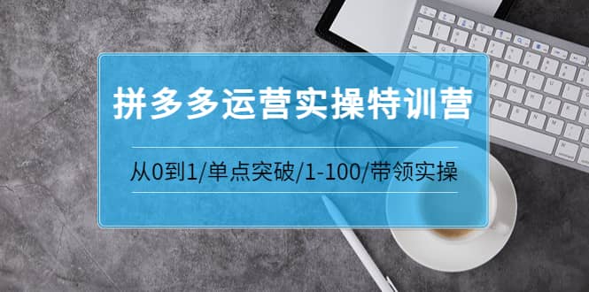 拼多多运营实操特训营：从0到1/单点突破/1-100/带领实操 价值2980元极优客-网创项目资源站-副业项目-创业项目-搞钱项目极优客网创