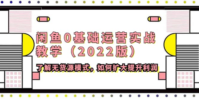 闲鱼0基础运营实战教学（2022版）了解无货源模式，如何扩大提升利润极优客-网创项目资源站-副业项目-创业项目-搞钱项目极优客网创