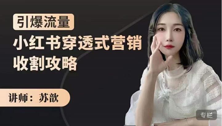 小红书穿透式营销收割攻略，引爆流量，助你玩转小红书极优客-网创项目资源站-副业项目-创业项目-搞钱项目极优客网创