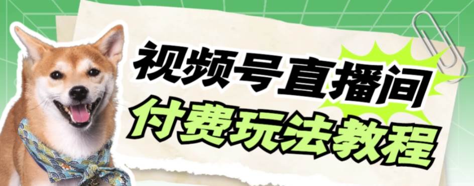 视频号美女付费无人直播，轻松日入500+【详细玩极优客-网创项目资源站-副业项目-创业项目-搞钱项目极优客网创