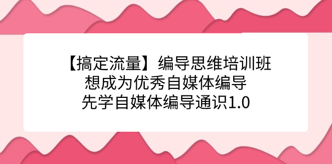 【搞定流量】编导思维培训班，想成为优秀自媒体编导先学自媒体编导通识1.0极优客-网创项目资源站-副业项目-创业项目-搞钱项目极优客网创