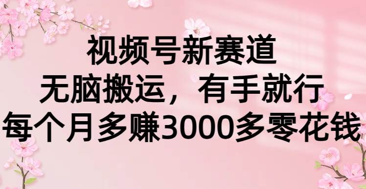 视频号新赛道，无脑搬运，有手就行，每个月多赚3000多零花钱极优客-网创项目资源站-副业项目-创业项目-搞钱项目极优客网创