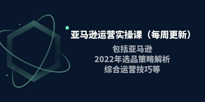 亚马逊运营实操课（每周更新）包括亚马逊2022选品策略解析，综合运营技巧等极优客-网创项目资源站-副业项目-创业项目-搞钱项目极优客网创