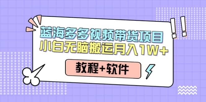 人人都能操作的蓝海多多视频带货项目 小白无脑搬运（教程+软件）极优客-网创项目资源站-副业项目-创业项目-搞钱项目极优客网创