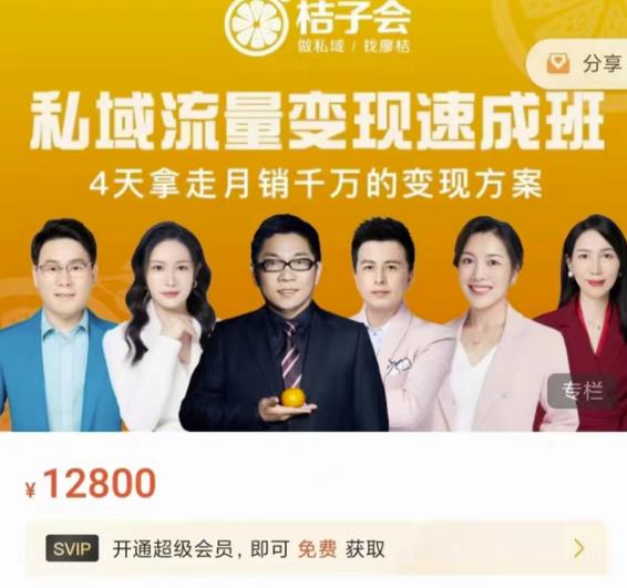 桔子会·私域流量变现速成班，4天拿走月销千万的变现方案 价值12800元极优客-网创项目资源站-副业项目-创业项目-搞钱项目极优客网创
