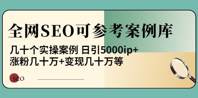 《全网SEO可参考案例库》几十个实操案例极优客-网创项目资源站-副业项目-创业项目-搞钱项目极优客网创