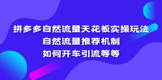 拼多多自然流量天花板实操玩法：自然流量推荐机制，如何开车引流等等极优客-网创项目资源站-副业项目-创业项目-搞钱项目极优客网创