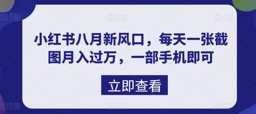 八月新风口，小红书虚拟项目一天收入1000+，实战揭秘极优客-网创项目资源站-副业项目-创业项目-搞钱项目极优客网创