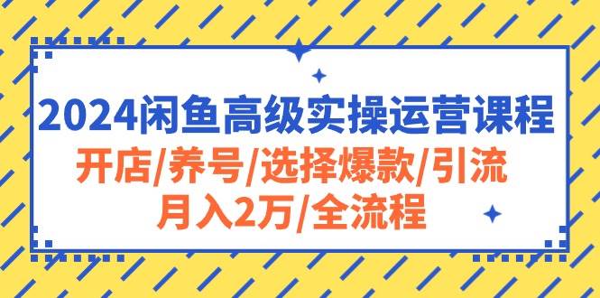 2024闲鱼高级实操运营课程：开店/养号/选择爆款/引流/月入2万/全流程极优客-网创项目资源站-副业项目-创业项目-搞钱项目极优客网创