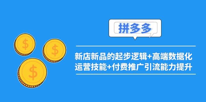 2022拼多多：新店新品的起步逻辑+高端数据化运营技能+付费推广引流能力提升极优客-网创项目资源站-副业项目-创业项目-搞钱项目极优客网创