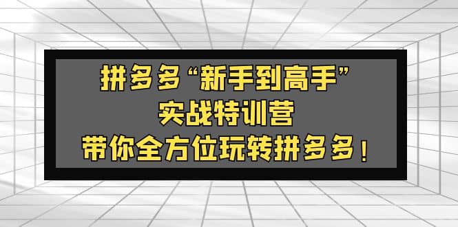 拼多多“新手到高手”实战特训营：带你全方位玩转拼多多极优客-网创项目资源站-副业项目-创业项目-搞钱项目极优客网创