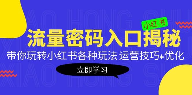 小红书流量密码入口揭秘：带你玩转小红书各种玩法 运营技巧+优化极优客-网创项目资源站-副业项目-创业项目-搞钱项目极优客网创