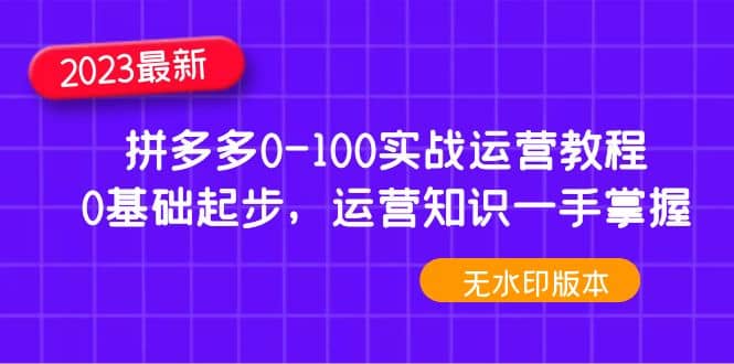 2023拼多多0-100实战运营教程，0基础起步，运营知识一手掌握（无水印）极优客-网创项目资源站-副业项目-创业项目-搞钱项目极优客网创