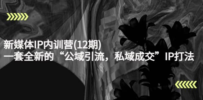新媒体IP内训营(12期)，一套全新的“公域引流，私域成交”IP打法，直接带走极优客-网创项目资源站-副业项目-创业项目-搞钱项目极优客网创