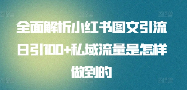 日引流100私域流量小红书图文是怎样做到的全面解析极优客-网创项目资源站-副业项目-创业项目-搞钱项目极优客网创