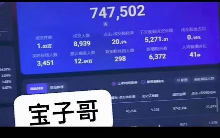 宝子哥无人直播，半无人直播，Obs+伴侣玩法，快速打标签+养鱼极优客-网创项目资源站-副业项目-创业项目-搞钱项目极优客网创