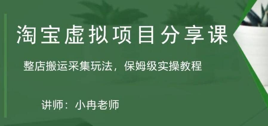 淘宝虚拟整店搬运采集玩法分享课：整店搬运采集玩法，保姆级实操教程极优客-网创项目资源站-副业项目-创业项目-搞钱项目极优客网创
