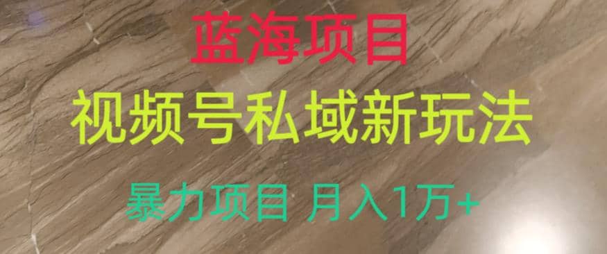 蓝海项目，视频号私域新玩法，暴力项目月入1万+【揭秘】极优客-网创项目资源站-副业项目-创业项目-搞钱项目极优客网创