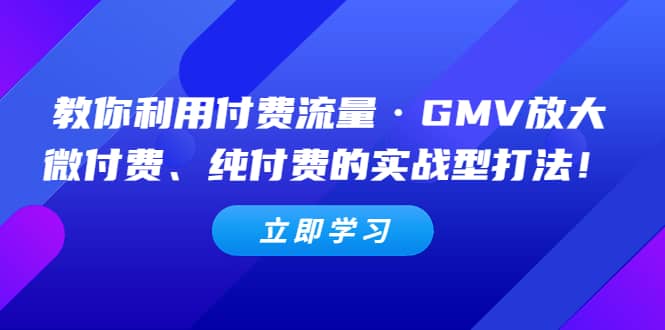 教你利用付费流量·GMV放大，微付费、纯付费的实战型打法极优客-网创项目资源站-副业项目-创业项目-搞钱项目极优客网创