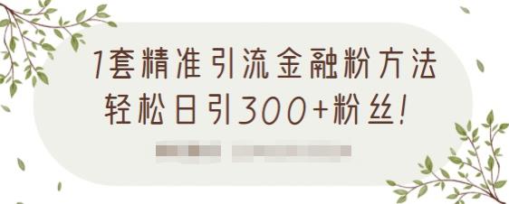 1套精准引流金融粉方法，轻松日引300+粉丝【视频课程】极优客-网创项目资源站-副业项目-创业项目-搞钱项目极优客网创