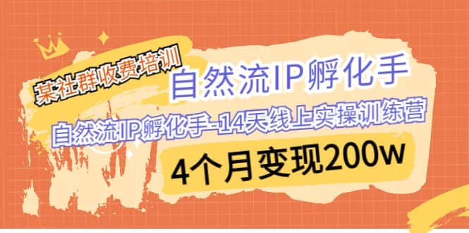 某社群收费培训：自然流IP 孵化手-14天线上实操训练营 4个月变现200w极优客-网创项目资源站-副业项目-创业项目-搞钱项目极优客网创