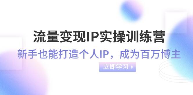 流量变现-IP实操训练营：新手也能打造个人IP，成为百万博主（46节课）极优客-网创项目资源站-副业项目-创业项目-搞钱项目极优客网创