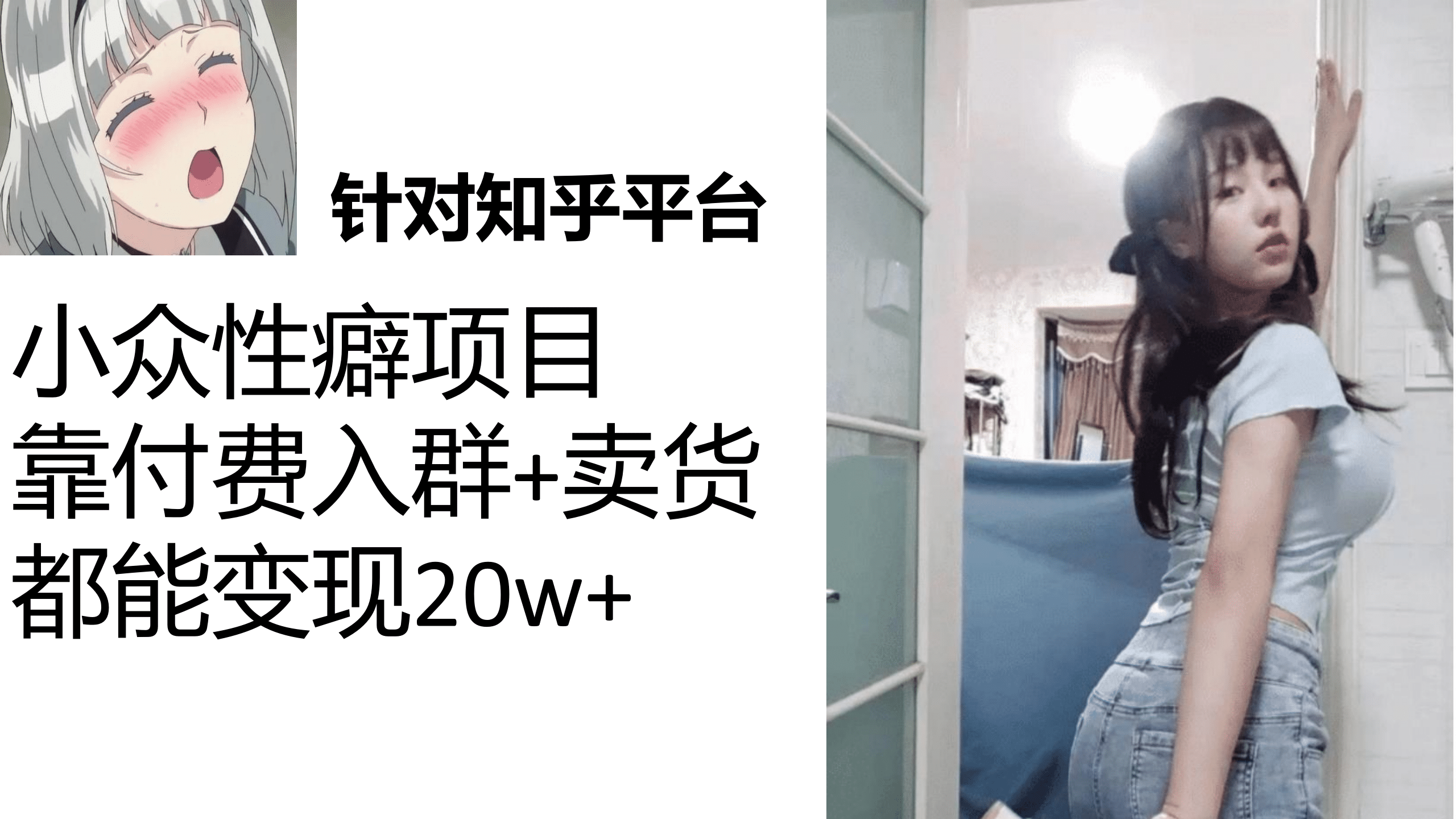 知乎小众性癖项目，Lsp的钱才是最好赚的，付费建群+卖货变现20w极优客-网创项目资源站-副业项目-创业项目-搞钱项目极优客网创