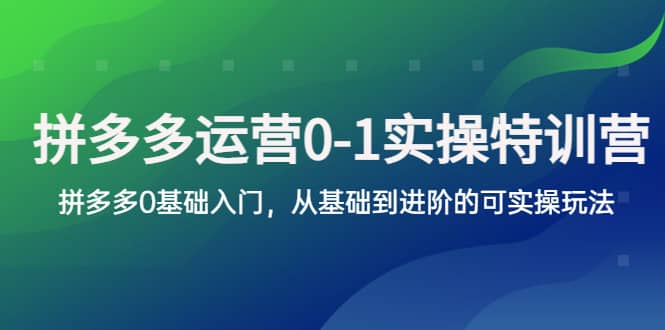 拼多多-运营0-1实操训练营，拼多多0基础入门，从基础到进阶的可实操玩法极优客-网创项目资源站-副业项目-创业项目-搞钱项目极优客网创