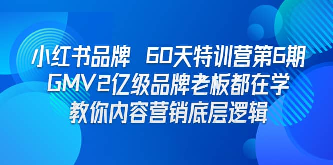 小红书品牌 60天特训营第6期 GMV2亿级品牌老板都在学 教你内容营销底层逻辑极优客-网创项目资源站-副业项目-创业项目-搞钱项目极优客网创