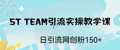 ST TEAM引流实操课，日引流网创粉100+极优客-网创项目资源站-副业项目-创业项目-搞钱项目极优客网创