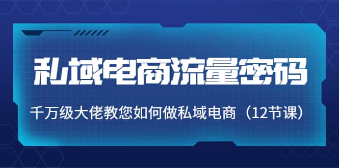 私域电商流量密码：千万级大佬教您如何做私域电商（12节课）极优客-网创项目资源站-副业项目-创业项目-搞钱项目极优客网创