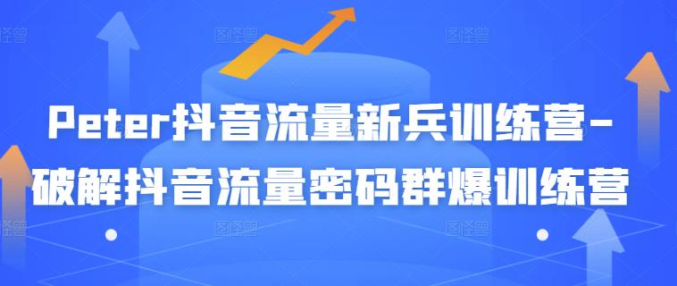 Peter抖音流量新兵训练营-破解抖音流量密码群爆训练营（新兵）极优客-网创项目资源站-副业项目-创业项目-搞钱项目极优客网创