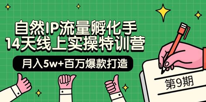 自然IP流量孵化手 14天线上实操特训营【第9期】月入5w+百万爆款打造 (74节)极优客-网创项目资源站-副业项目-创业项目-搞钱项目极优客网创