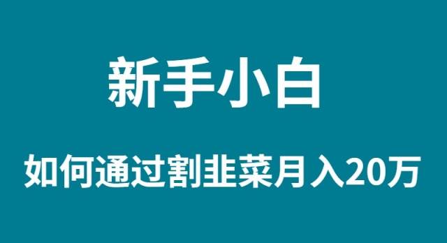 新手小白如何通过割韭菜月入 20W极优客-网创项目资源站-副业项目-创业项目-搞钱项目极优客网创