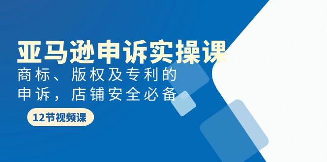亚马逊-申诉实战课，商标、版权及专利的申诉，店铺安全必备极优客-网创项目资源站-副业项目-创业项目-搞钱项目极优客网创