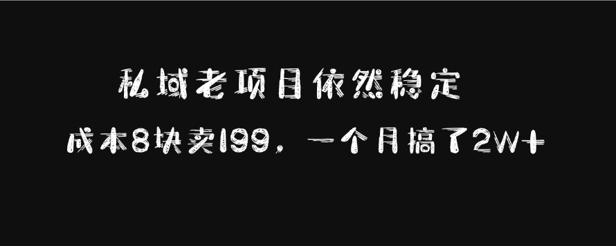 私域老项目依然稳定，成本8块卖199，一个月搞了2W+极优客-网创项目资源站-副业项目-创业项目-搞钱项目极优客网创