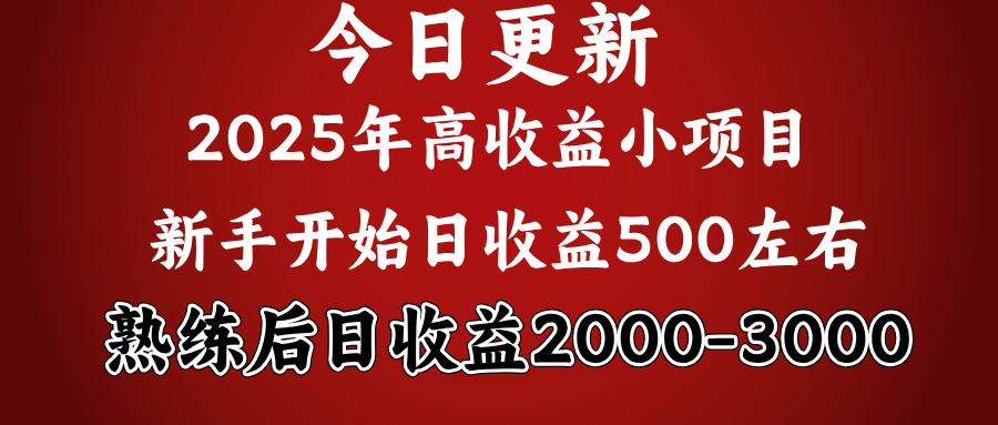 好项目一眼就能看出来，日收益1000，长久可做，2025拼的就是我比你勤奋极优客-网创项目资源站-副业项目-创业项目-搞钱项目极优客网创