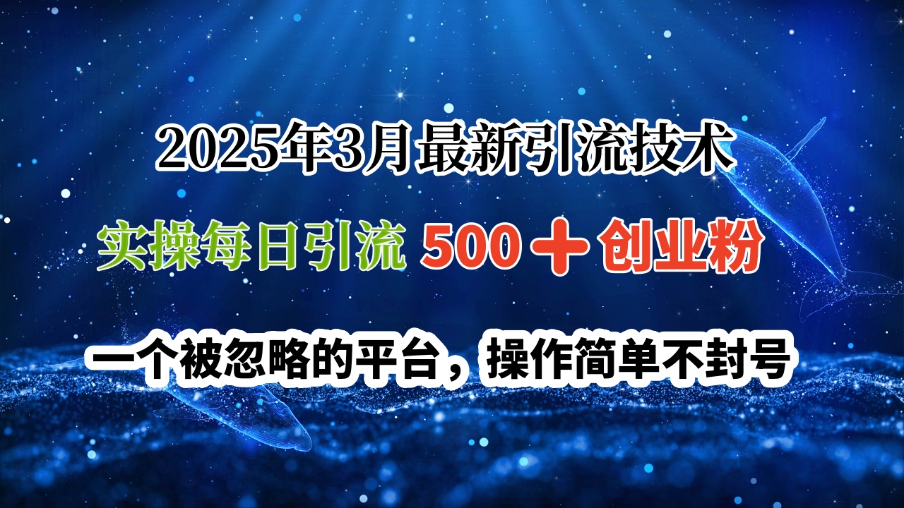 2025年3月最新引流技术，实操每日引流500➕创业粉，一个被忽略的平台，操作简单不封号极优客-网创项目资源站-副业项目-创业项目-搞钱项目极优客网创