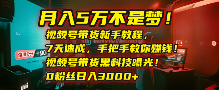 月入5万不是梦！视频号带货新手教程，7天速成，手把手教你赚钱！视频号带货黑科技曝光！0粉丝日入3000+极优客-网创项目资源站-副业项目-创业项目-搞钱项目极优客网创